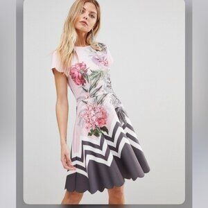 Ted Baker Pink Floral Palace Gardens Hailie Fit & Flare Skater Dress, Size 4 (1)